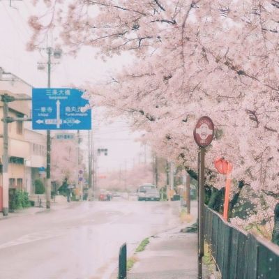 三峡集团发布《践行绿色低碳生活 共建人类美丽家园》倡议