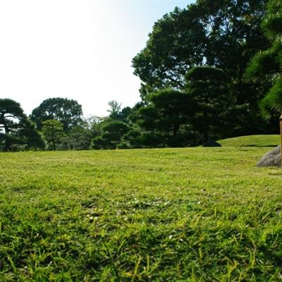 青海西宁：同植爱情树共筑生态梦