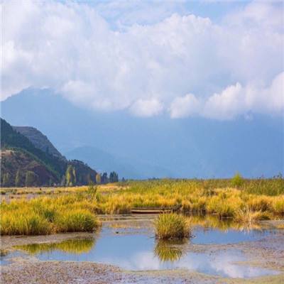 交通银行签约“尊师惠师公益行动”