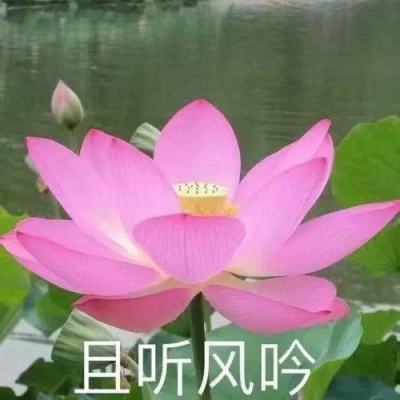 Lex专栏：黄金行业整合潮方兴未艾