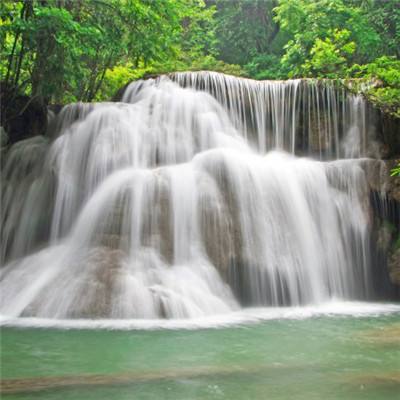 一粥一茶助你祛湿